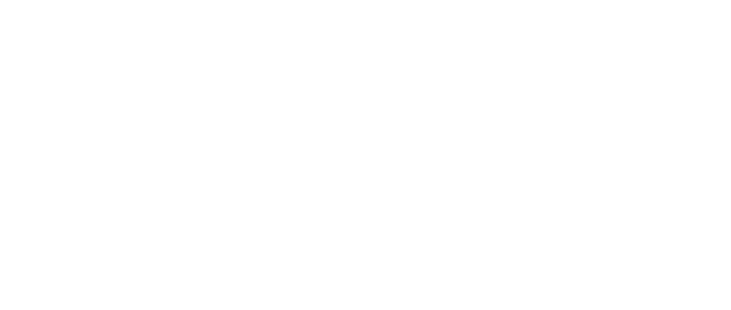seg